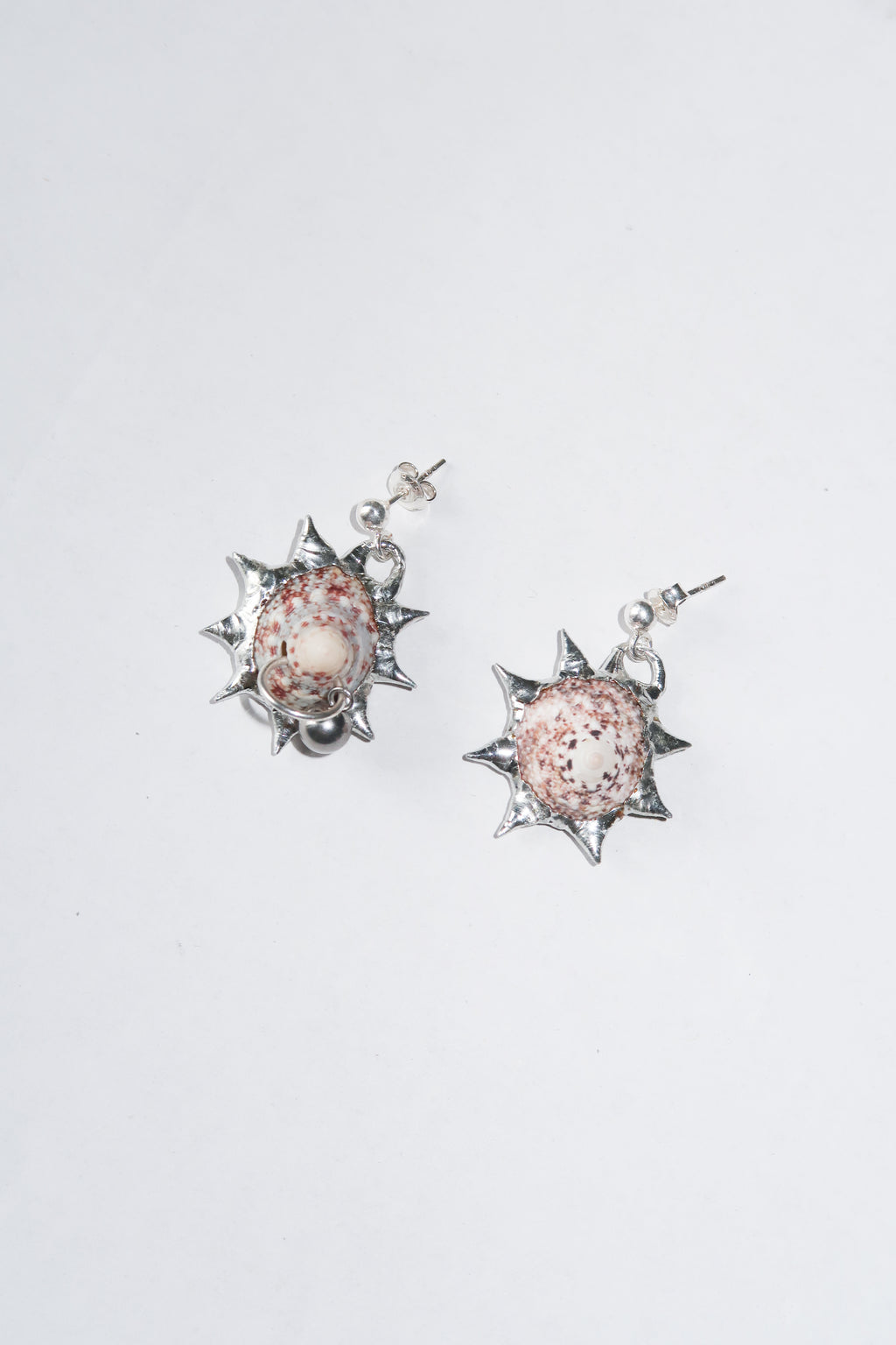 Pierced Shell earrings
