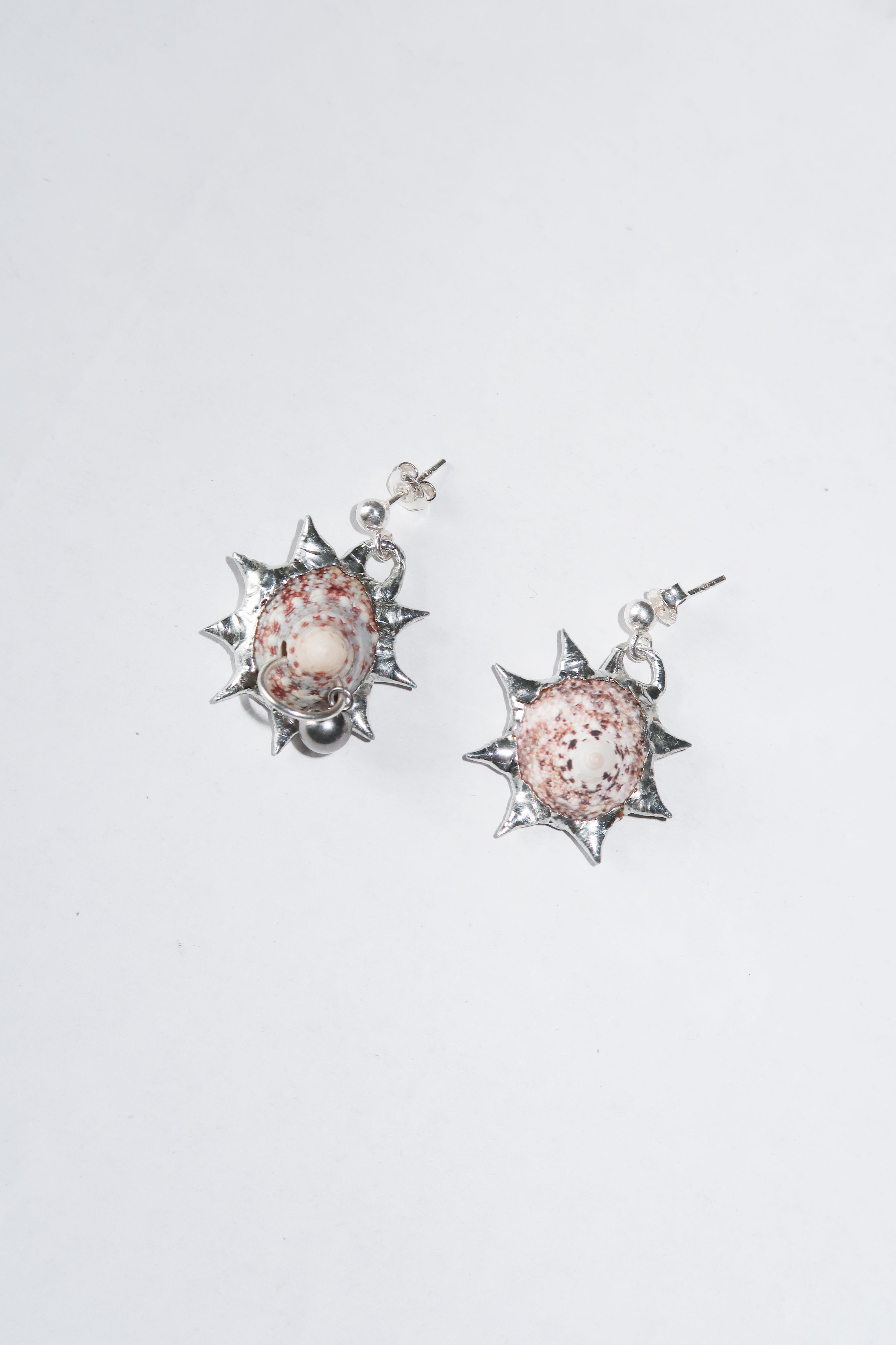 Pierced Shell earrings