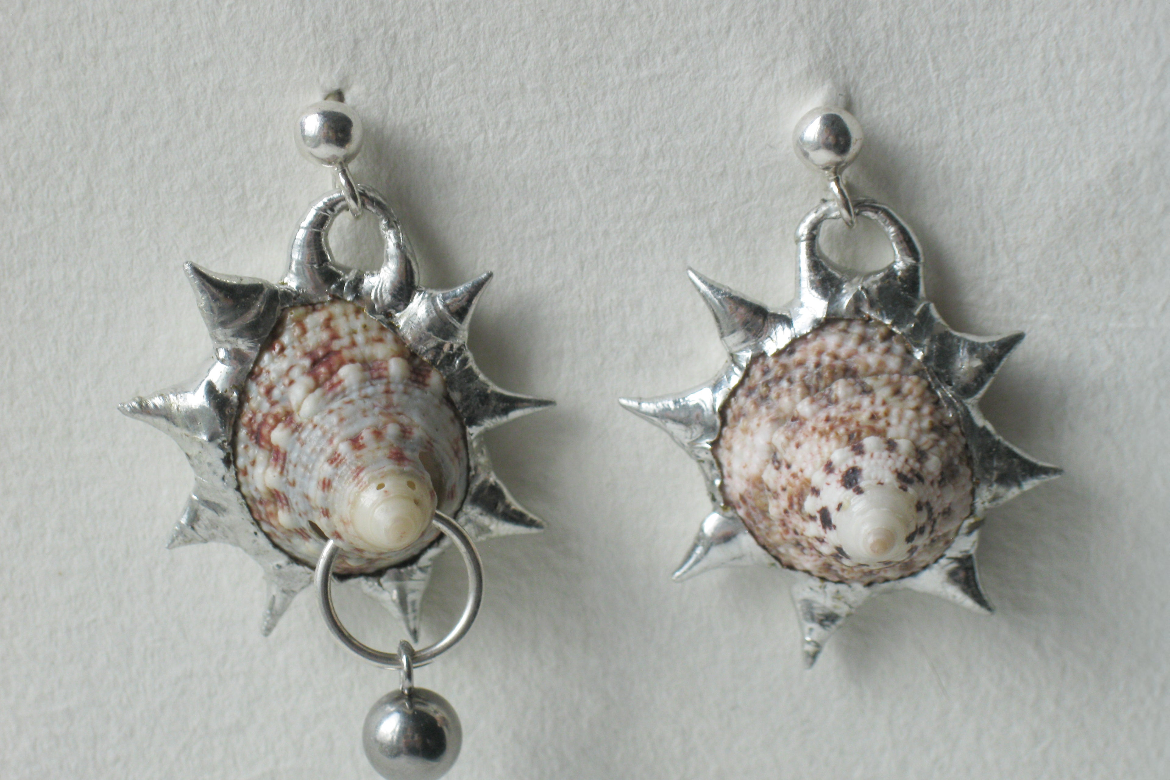 Pierced Shell earrings